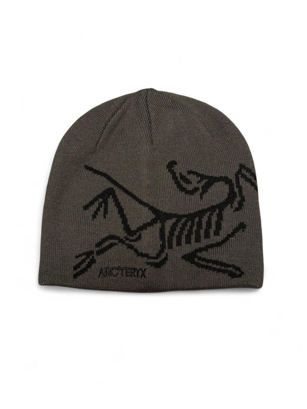 gray and black arcteryx bird head toque beanie